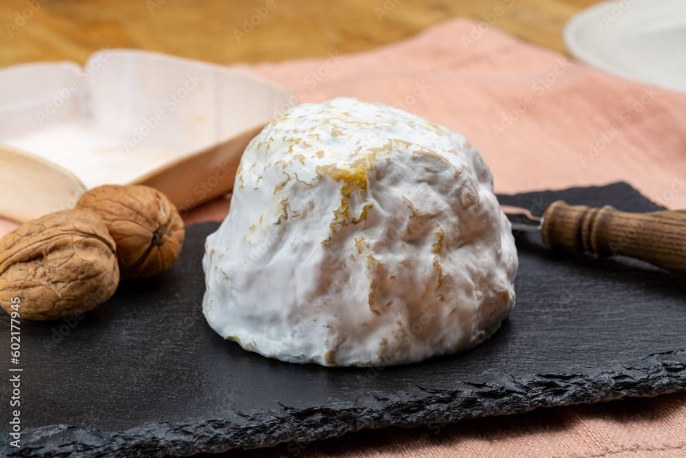 Cheese collection, soft cow French cheese with mold Gaperon artisanal lavored with cracked peppercorns and garlic produced in Auvergne