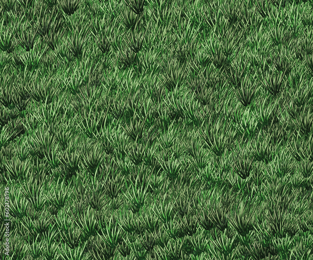 Grass Grass