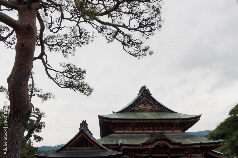 Roof and tree details in historic Buddhist temple in Japan. Cloudy day in spring. Roof and tree details in historic Buddhist temple in Japan. Cloudy day in spring.