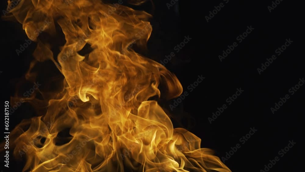 Fire flame isolate on black background. Burn abstract flames. Large burning flaming fire.