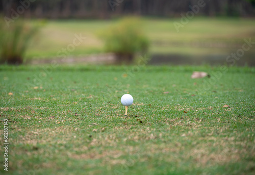 A golf ball on the green in golf course. The green is a special area of grass on the golf course that surrounds each hole.