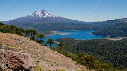 volcan llaima y lago conguillio con araucarias photo
