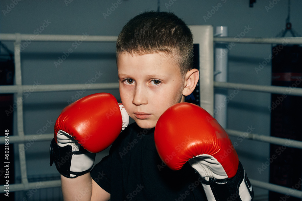 Close-up portrait of a boy in red boxing gloves in the ring