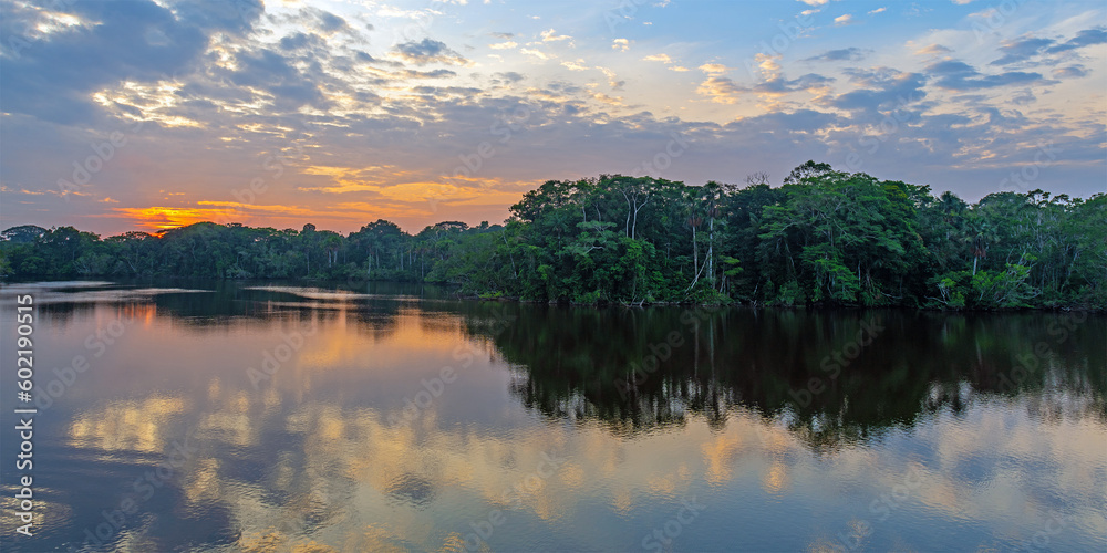 Amazon rainforest river panorama at sunrise, Yasuni national park, Ecuador.