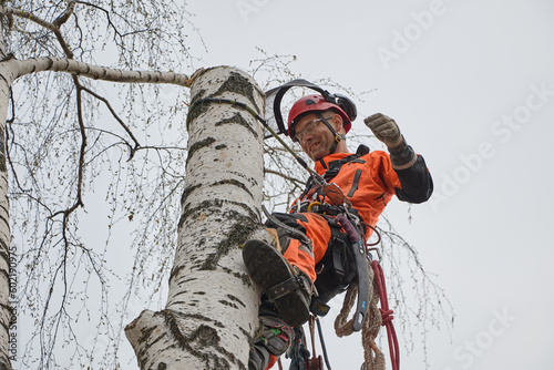 Tree surgeon. Working with a chainsaw. Sawing wood with a chainsaw. 