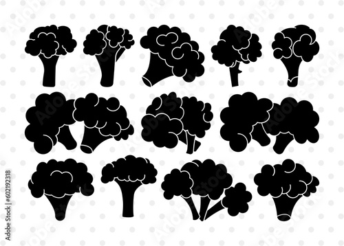 Broccoli Silhouette, Broccoli SVG, Food Items Svg, Vegetable Svg, Cauliflower Svg, Broccoli Bundle, SB00903
