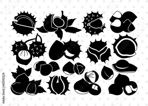 Chestnut Silhouette, Chestnut SVG, Food Svg, Nuts Svg, Healthy Items Svg, Chestnut Bundle, SB00908