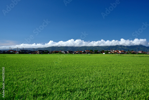 夏の出雲北山山地