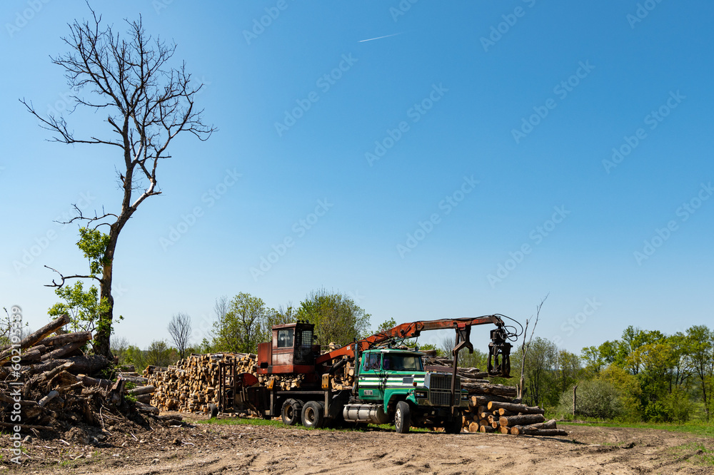 Fototapeta premium Rural Logging Business