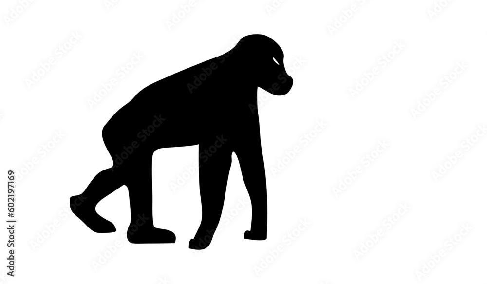 the Gorilla the Gorilla