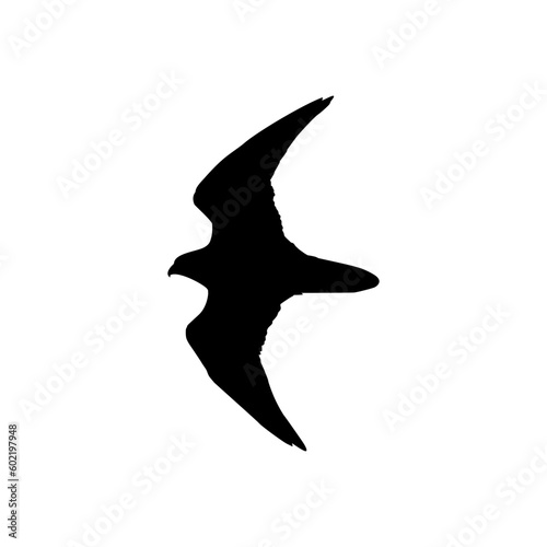 Silhouette of the Flying Bird of Prey, Falcon or Hawk, for Logo, Pictogram, Website, Art Illustration, or Graphic Design Element. Vector Illustration 
