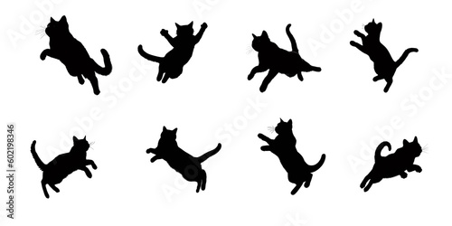 The collection a set of cat silhouette