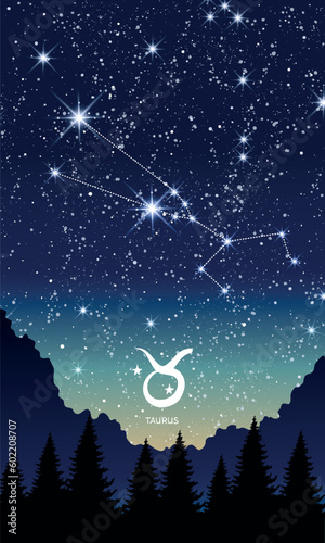 Taurus zodiac sign, constellation in the night sky, landscape vertical postcard for stories. Template for astrology, fortune teller, calendar. Modern vector illustration.