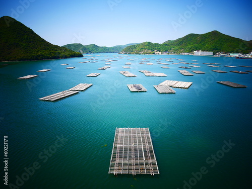 蠣の養殖　oyster farming