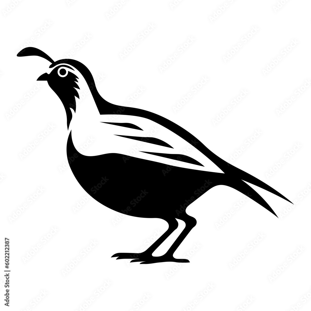 Obraz premium Quail vector clipart
