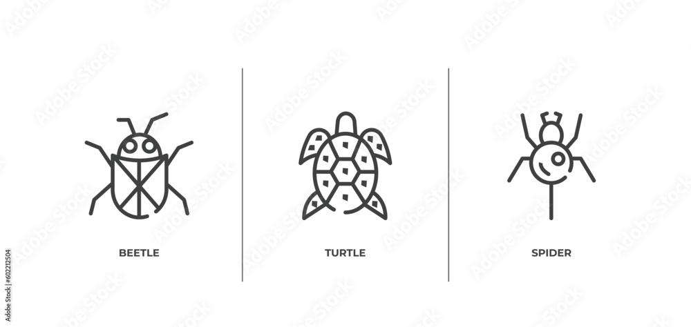 nature outline icons set. thin line icons sheet included beetle, turtle, spider vector. nature outline icons set. thin line icons sheet included beetle, turtle, spider vector.