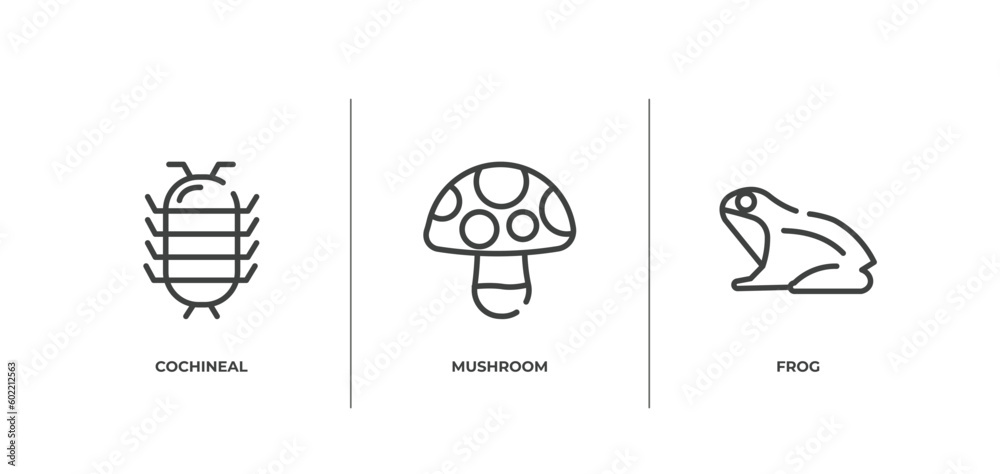 nature outline icons set. thin line icons sheet included cochineal, mushroom, frog vector.