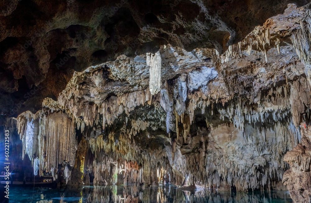 Fototapeta premium Ecopark Aktun Chen underground cenote