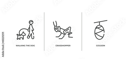 insects outline icons set. thin line icons sheet included walking the dog, grasshopper, cocoon vector.