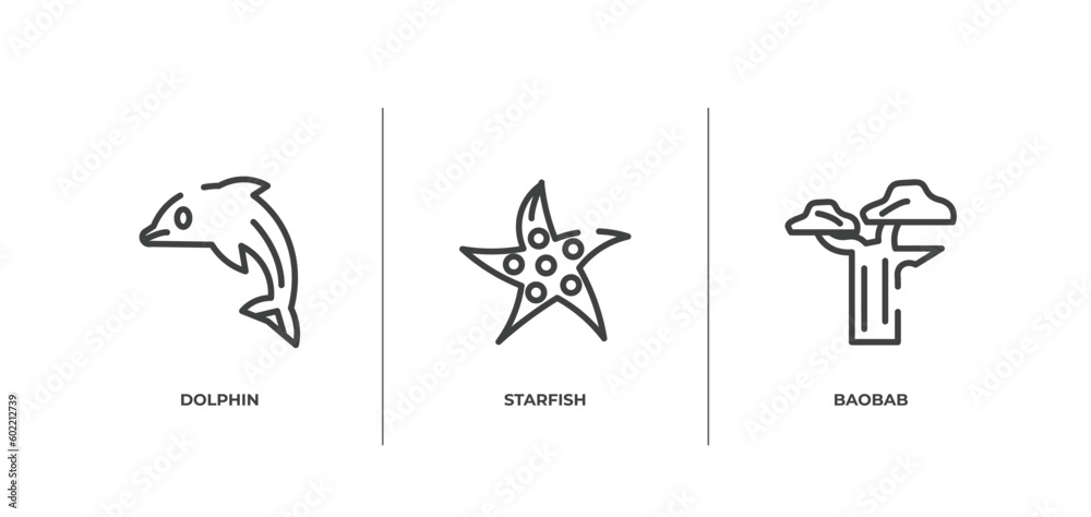 nature outline icons set. thin line icons sheet included dolphin, starfish, baobab vector.