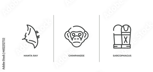 desert outline icons set. thin line icons sheet included manta ray, chimpanzee, sarcophagus vector.
