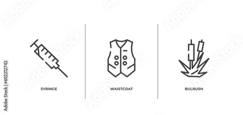 nature outline icons set. thin line icons sheet included syringe, waistcoat, bulrush vector.