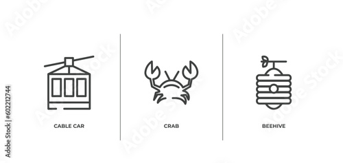 wildlife outline icons set. thin line icons sheet included cable car, crab, beehive vector.