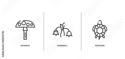 in the zoo outline icons set. thin line icons sheet included amanita, harebell, tortoise vector.