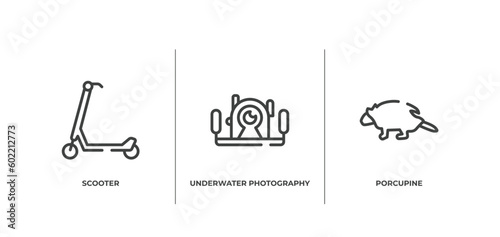 animals outline icons set. thin line icons sheet included scooter, underwater photography, porcupine vector.