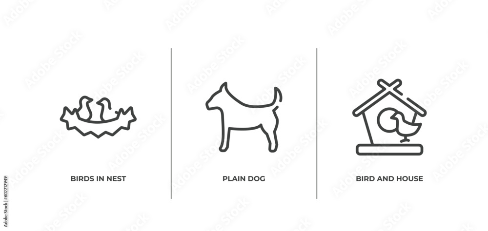 birds pack outline icons set. thin line icons sheet included birds in nest, plain dog, bird and house vector.