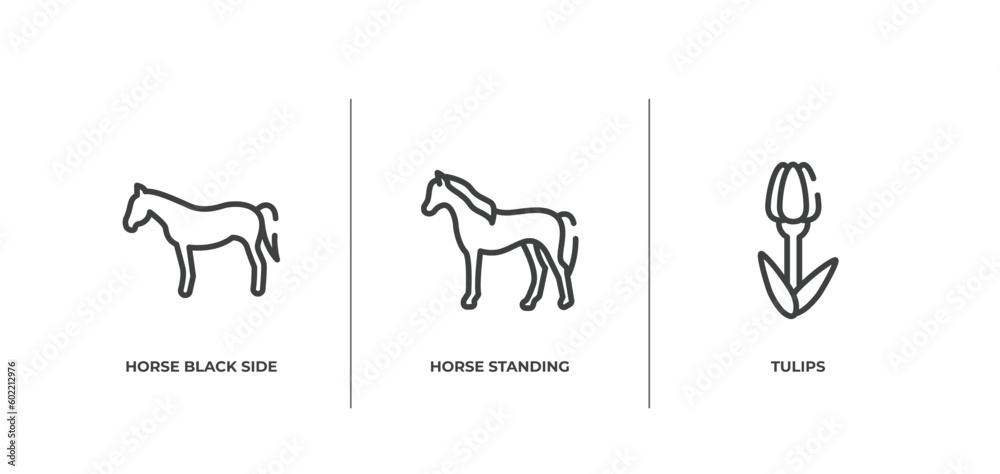 nature lineal pack outline icons set. thin line icons sheet included horse black side shape, horse standing, tulips vector.
