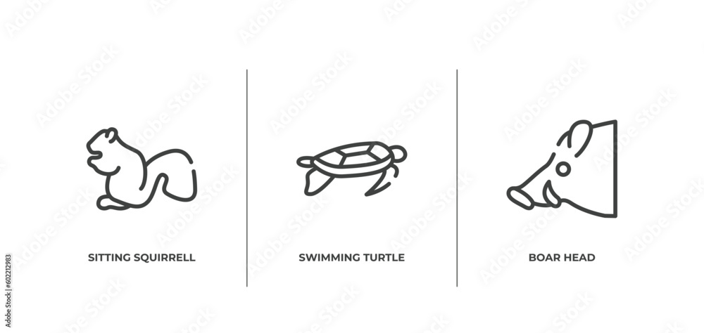 fauna outline icons set. thin line icons sheet included sitting squirrell, swimming turtle, boar head vector.