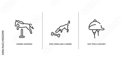 horses outline icons set. thin line icons sheet included horse jumping, dog smelling a bone, hat for a jockey vector.