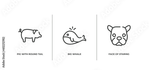 woof woof outline icons set. thin line icons sheet included pig with round tail, big whale, face of staring dog vector.