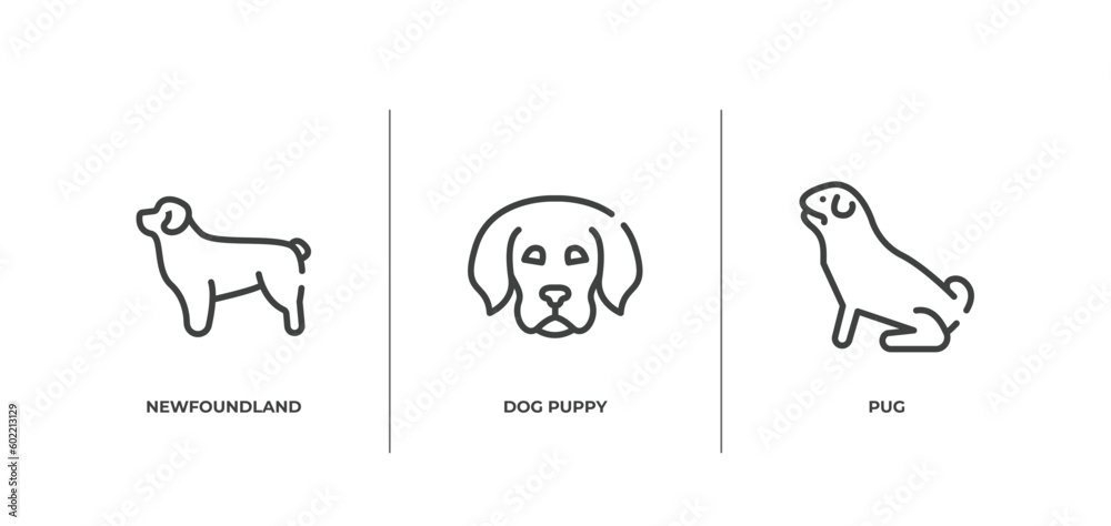 dog breeds fullbody outline icons set. thin line icons sheet included newfoundland, dog puppy, pug vector.