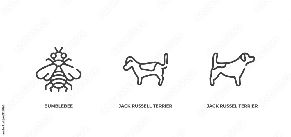 dog breeds heads outline icons set. thin line icons sheet included bumblebee, jack russell terrier, jack russel terrier vector. dog breeds heads outline icons set. thin line icons sheet included bumblebee, jack russell terrier, jack russel terrier vector.