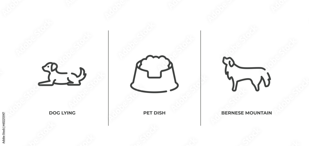 dog breeds heads outline icons set. thin line icons sheet included dog lying, pet dish, bernese mountain dog vector.