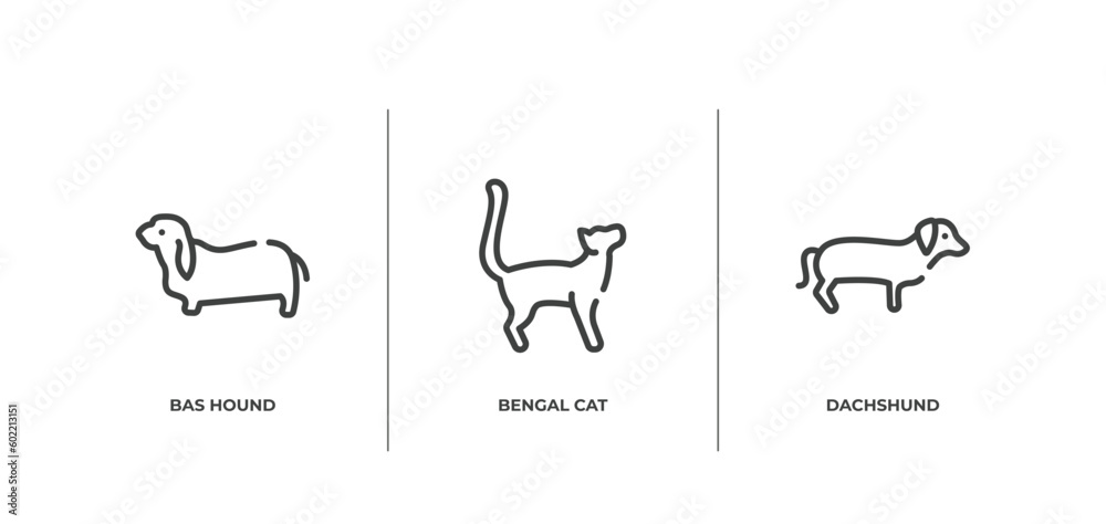 dog breeds fullbody outline icons set. thin line icons sheet included bas hound, bengal cat, dachshund vector.