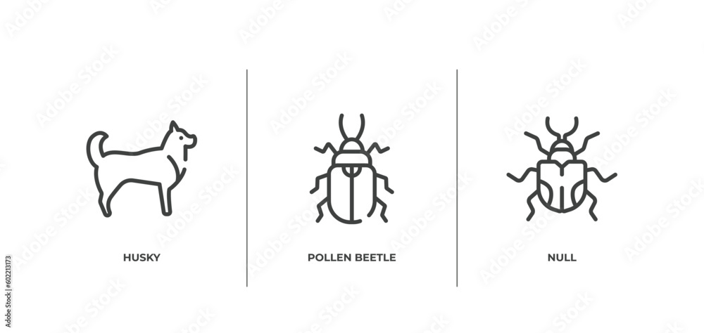 insects outline icons set. thin line icons sheet included husky, pollen beetle, null vector. insects outline icons set. thin line icons sheet included husky, pollen beetle, null vector.