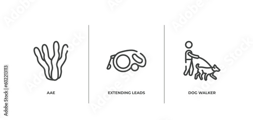 dog and training outline icons set. thin line icons sheet included aae, extending leads, dog walker vector.