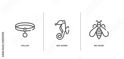 fauna outline icons set. thin line icons sheet included collar, sea horse, big wasp vector.