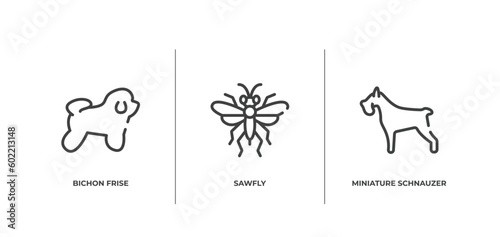 dog breeds fullbody outline icons set. thin line icons sheet included bichon frise, sawfly, miniature schnauzer vector.