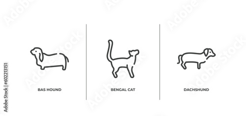 dog breeds fullbody outline icons set. thin line icons sheet included bas hound, bengal cat, dachshund vector.