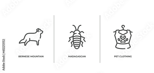 pet lovers outline icons set. thin line icons sheet included bernese mountain, madagascan, pet clothing vector.