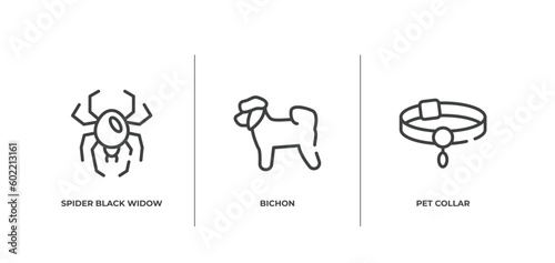 pet lovers outline icons set. thin line icons sheet included spider black widow, bichon, pet collar vector.