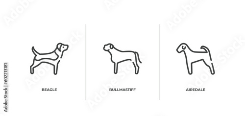 dog breeds fullbody outline icons set. thin line icons sheet included beagle, bullmastiff, airedale vector.