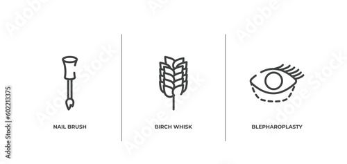 plastic surgery outline icons set. thin line icons sheet included nail brush, birch whisk, blepharoplasty vector.