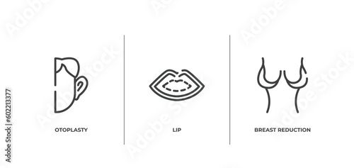 plastic surgery outline icons set. thin line icons sheet included otoplasty, lip, breast reduction vector.