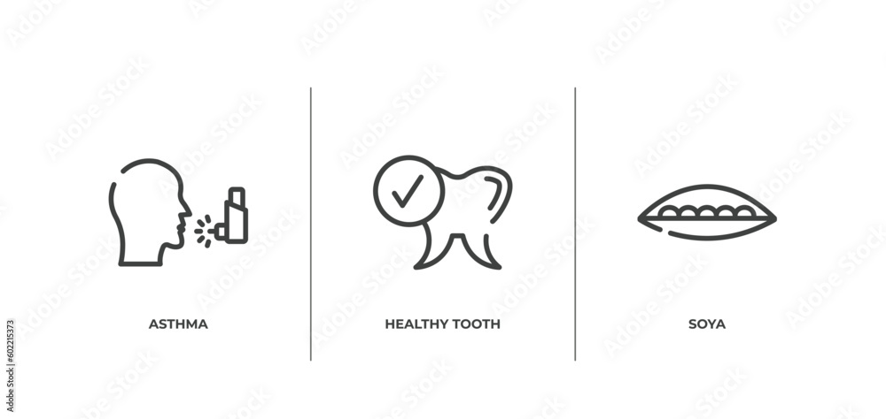 allergies outline icons set. thin line icons sheet included asthma, healthy tooth, soya vector.