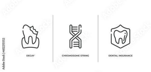 insurance outline icons set. thin line icons sheet included decay, chromosome string, dental insurance vector.